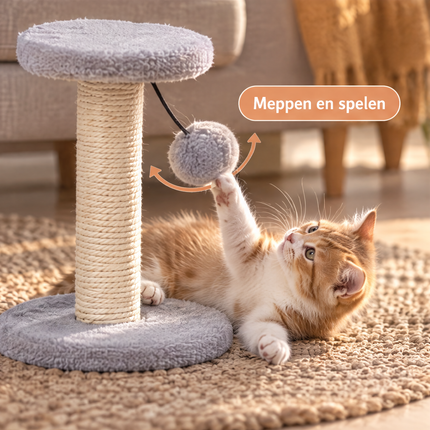 infographic opus55 niet geselecteerd (vervangen door nieuw raster) - Cheqo® Kleine Krabpaal voor Katten en Kittens