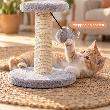 infographic opus55 infographic 4 - Cheqo® Kleine Krabpaal voor Katten en Kittens