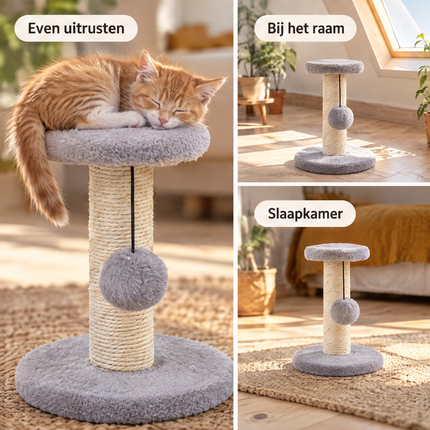 infographic opus55 infographic 6 - Cheqo® Kleine Krabpaal voor Katten en Kittens