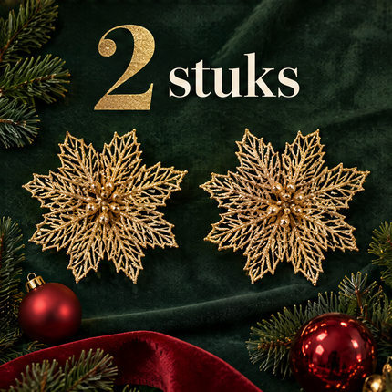 infographic opus55 infographic 5 - Cheqo® Kerstbloem op Clip Set van 2