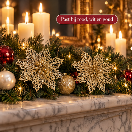 infographic opus55 infographic 6 - Cheqo® Kerstbloem op Clip Set van 2