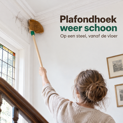 infographic opus55 infographic 1 - Cheqo® Houten Ragebol Cocos met Steelhouder