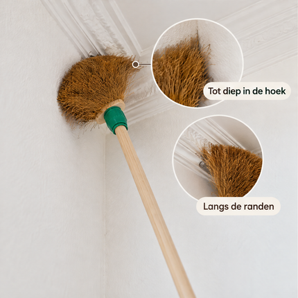 infographic opus55 infographic 4 - Cheqo® Houten Ragebol Cocos met Steelhouder