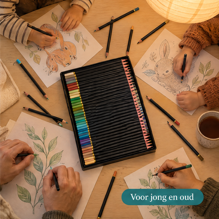 infographic opus55 infographic 6 - Cheqo® Kleurpotloden Set van 80