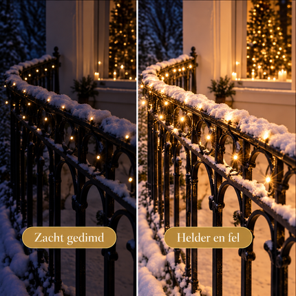 infographic opus55 infographic 4 - Cheqo® Kerstverlichting 480 LED