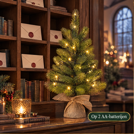 infographic opus55 infographic 1 - Cheqo® Mini Kerstboom 60 cm met Verlichting Warm Wit