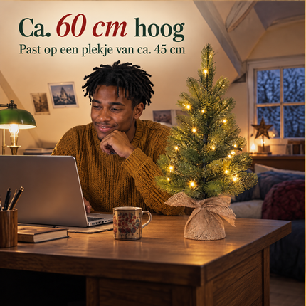 infographic opus55 infographic 4 - Cheqo® Mini Kerstboom 60 cm met Verlichting Warm Wit