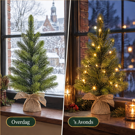 infographic opus55 infographic 6 - Cheqo® Mini Kerstboom 60 cm met Verlichting Warm Wit