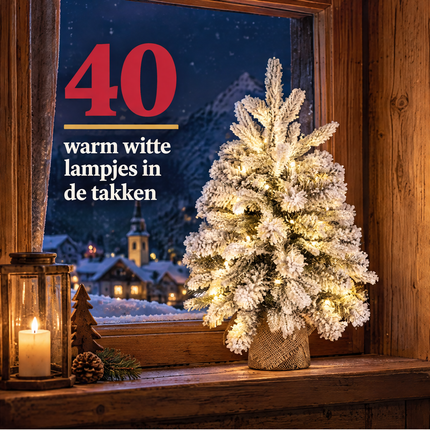 infographic opus55 infographic 2 - Cheqo® Mini Kerstboom 60 cm met Sneeuw en Verlichting Warm Wit