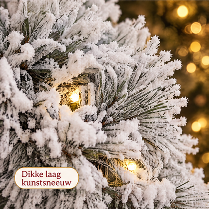 infographic opus55 infographic 4 - Cheqo® Kerstkrans 60 cm met Sneeuw en 30 LED Warm Wit