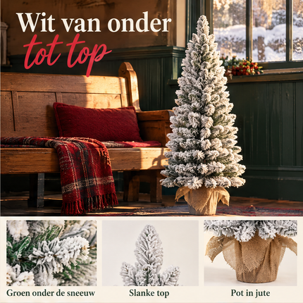 infographic opus55 infographic 3 - Cheqo® Mini Kerstboom 90 cm met Sneeuw zonder Verlichting