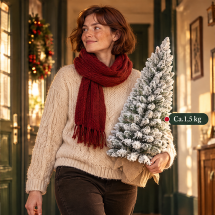 infographic opus55 infographic 6 - Cheqo® Mini Kerstboom 90 cm met Sneeuw zonder Verlichting