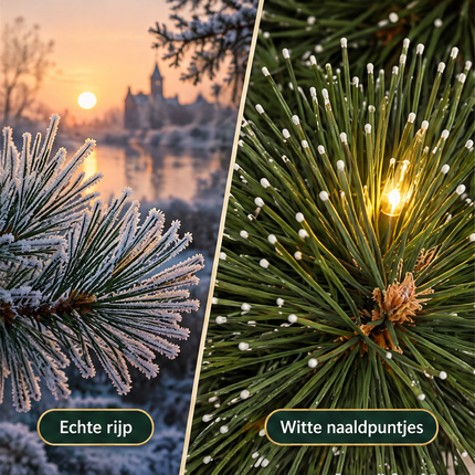 infographic opus55 infographic 2 - Cheqo® Kerstkrans 60 cm met Witte Naaldpuntjes en Verlichting Warm Wit