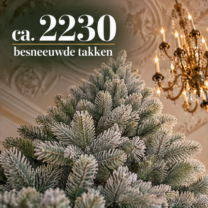 infographic opus55 infographic 2 - Cheqo® Kunstkerstboom 240 cm met Sneeuw zonder Verlichting