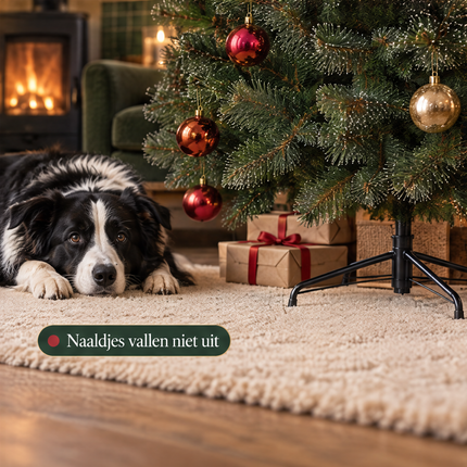 infographic opus55 infographic 5 - Cheqo® Kunstkerstboom 155 cm Ø100 cm met Witte Naaldpuntjes zonder Verlichting