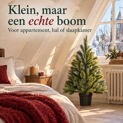 infographic opus55 infographic 1 - Cheqo® Mini Kerstboom 90 cm zonder Verlichting