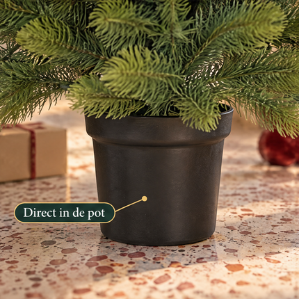 infographic opus55 infographic 4 - Cheqo® Mini Kerstboom 90 cm zonder Verlichting