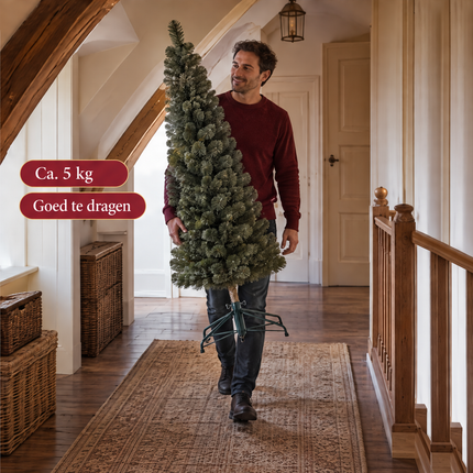 infographic opus55 infographic 6 - Cheqo® Kunstkerstboom 215 cm met Verlichting Warm Wit