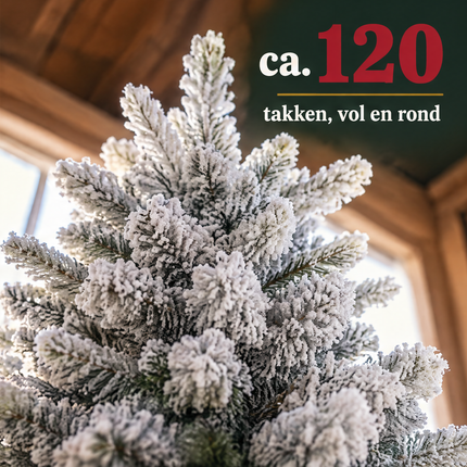 infographic opus55 infographic 3 - Cheqo® Mini Kerstboom 90 cm met Sneeuw zonder Verlichting