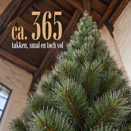 infographic opus55 infographic 4 - Cheqo® Kunstkerstboom 260 cm met Witte Naaldpuntjes
