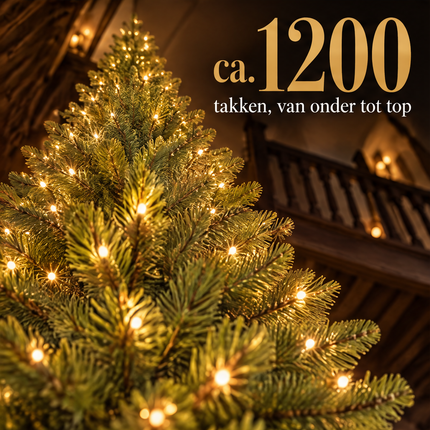 infographic opus55 infographic 5 - Cheqo® Kunstkerstboom 260 cm met Verlichting Warm Wit