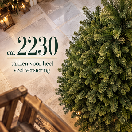 infographic opus55 infographic 3 - Cheqo® Kunstkerstboom 240 cm zonder Verlichting