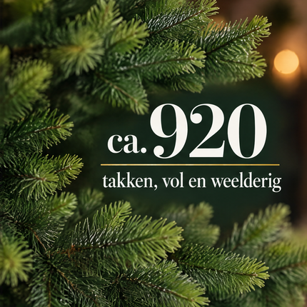 infographic opus55 infographic 3 - Cheqo® Kunstkerstboom 180 cm zonder Verlichting