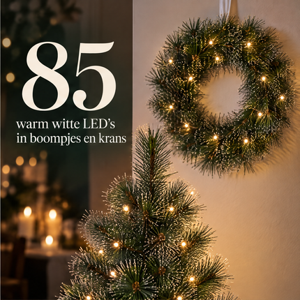 infographic opus55 infographic 3 - Cheqo® Kerstboompjes Set van 2 met Kerstkrans en Witte Naaldpuntjes