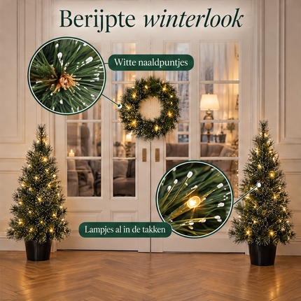 infographic opus55 infographic 5 - Cheqo® Kerstboompjes Set van 2 met Kerstkrans en Witte Naaldpuntjes