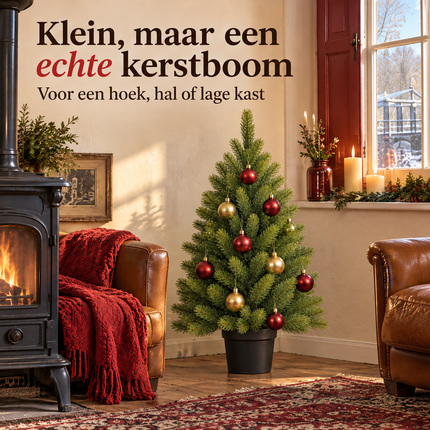 infographic opus55 infographic 1 - Cheqo® Mini Kerstboom 90 cm in Zwarte Pot
