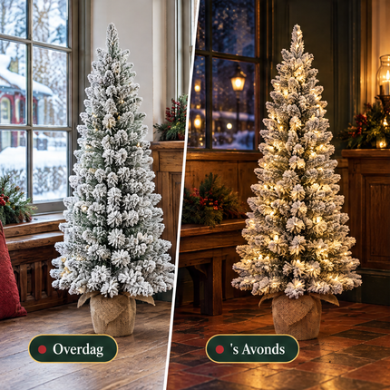 infographic opus55 infographic 4 - Cheqo® Mini Kerstboom 90 cm met Sneeuw en Verlichting Warm Wit
