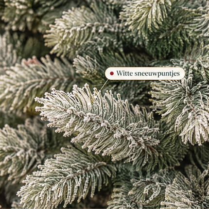 infographic opus55 infographic 2 - Cheqo® Kunstkerstboom 150 cm met Sneeuw zonder Verlichting
