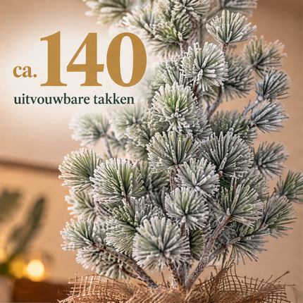 infographic opus55 infographic 2 - Cheqo® Mini Kerstboom 55 cm met Sneeuw