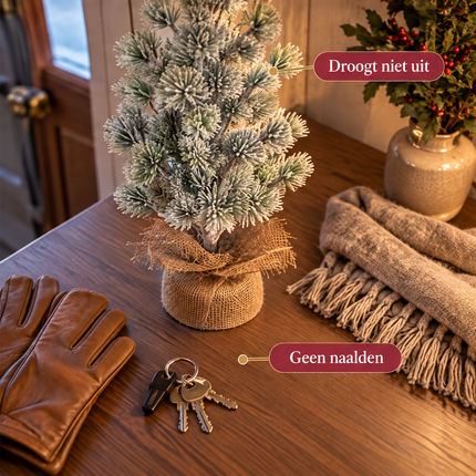 infographic opus55 infographic 6 - Cheqo® Mini Kerstboom 55 cm met Sneeuw
