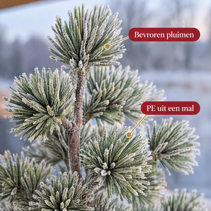 infographic opus55 infographic 3 - Cheqo® Mini Kerstboom 45 cm met Sneeuw