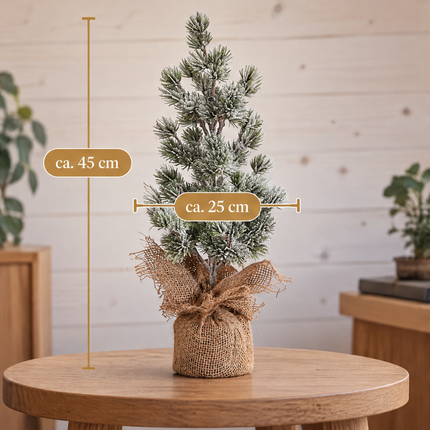 infographic opus55 infographic 4 - Cheqo® Mini Kerstboom 45 cm met Sneeuw