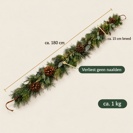 infographic opus55 infographic 6 - Cheqo® Kerstslinger 180 cm met Dennenappels en Eucalyptusblad