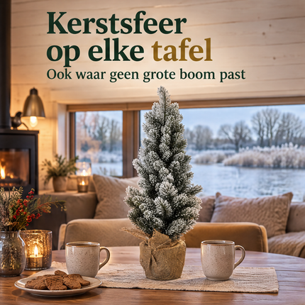 infographic opus55 infographic 1 - Cheqo® Mini Kerstboom 60 cm met Sneeuw