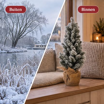 infographic opus55 infographic 5 - Cheqo® Mini Kerstboom 60 cm met Sneeuw