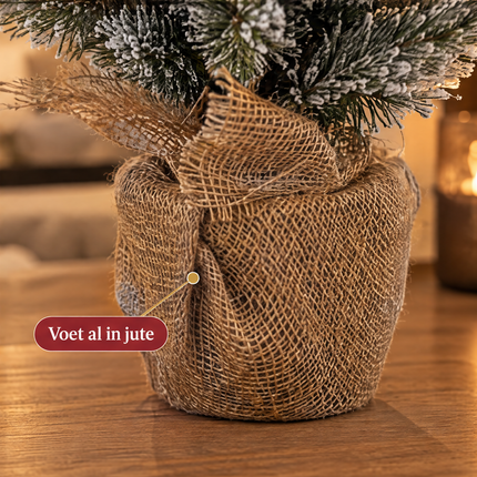 infographic opus55 infographic 6 - Cheqo® Mini Kerstboom 60 cm met Sneeuw