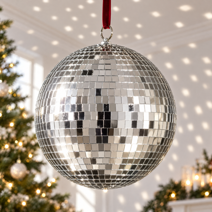 infographic opus55 hoofdafbeelding - Cheqo® Discobal 25 cm Zilver