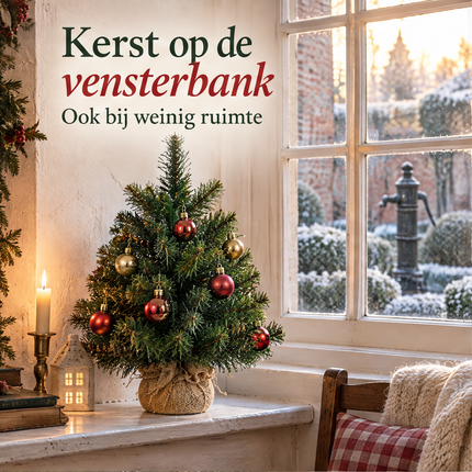 infographic opus55 infographic 1 - Cheqo® Mini Kerstboom 60 cm zonder Verlichting