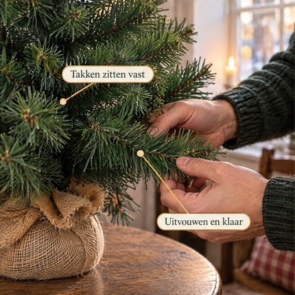 infographic opus55 infographic 4 - Cheqo® Mini Kerstboom 60 cm zonder Verlichting