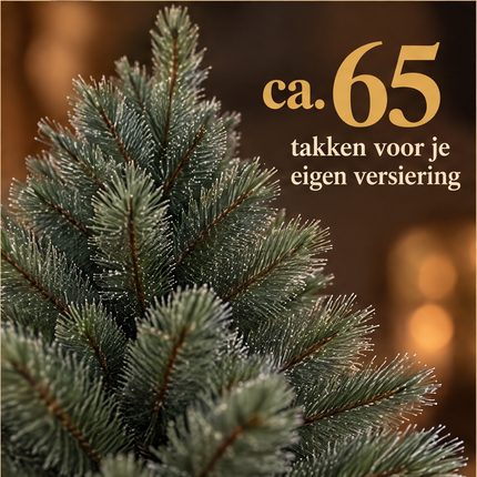 infographic opus55 infographic 5 - Cheqo® Mini Kerstboom 60 cm met Witte Naaldpuntjes zonder Verlichting