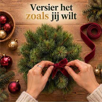 infographic opus55 infographic 3 - Cheqo® Mini Kerstboom 45 cm met Witte Naaldpuntjes zonder Verlichting