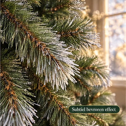 infographic opus55 infographic 5 - Cheqo® Kunstkerstboom 215 cm met Witte Naaldpuntjes