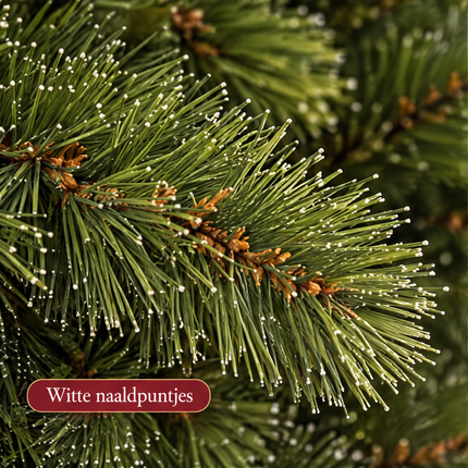 infographic opus55 infographic 4 - Cheqo® Mini Kerstboom 90 cm met Witte Naaldpuntjes zonder Verlichting