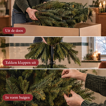 infographic opus55 infographic 3 - Cheqo® Kunstkerstboom 155 cm zonder Verlichting