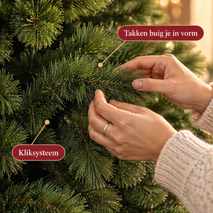 infographic opus55 infographic 6 - Cheqo® Kunstkerstboom 155 cm zonder Verlichting