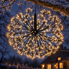 infographic opus55 hoofdafbeelding - Cheqo® Lichtbol Buiten 60 cm Paardenbloem Zwart